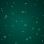 Shutterstock_1215706726