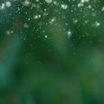 Shutterstock_2499258311