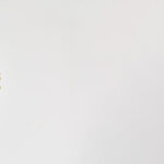FacesFirst-Banner-Images-Facials-2025