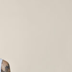 FacesFirst-Banner-Images-Restylane-2025